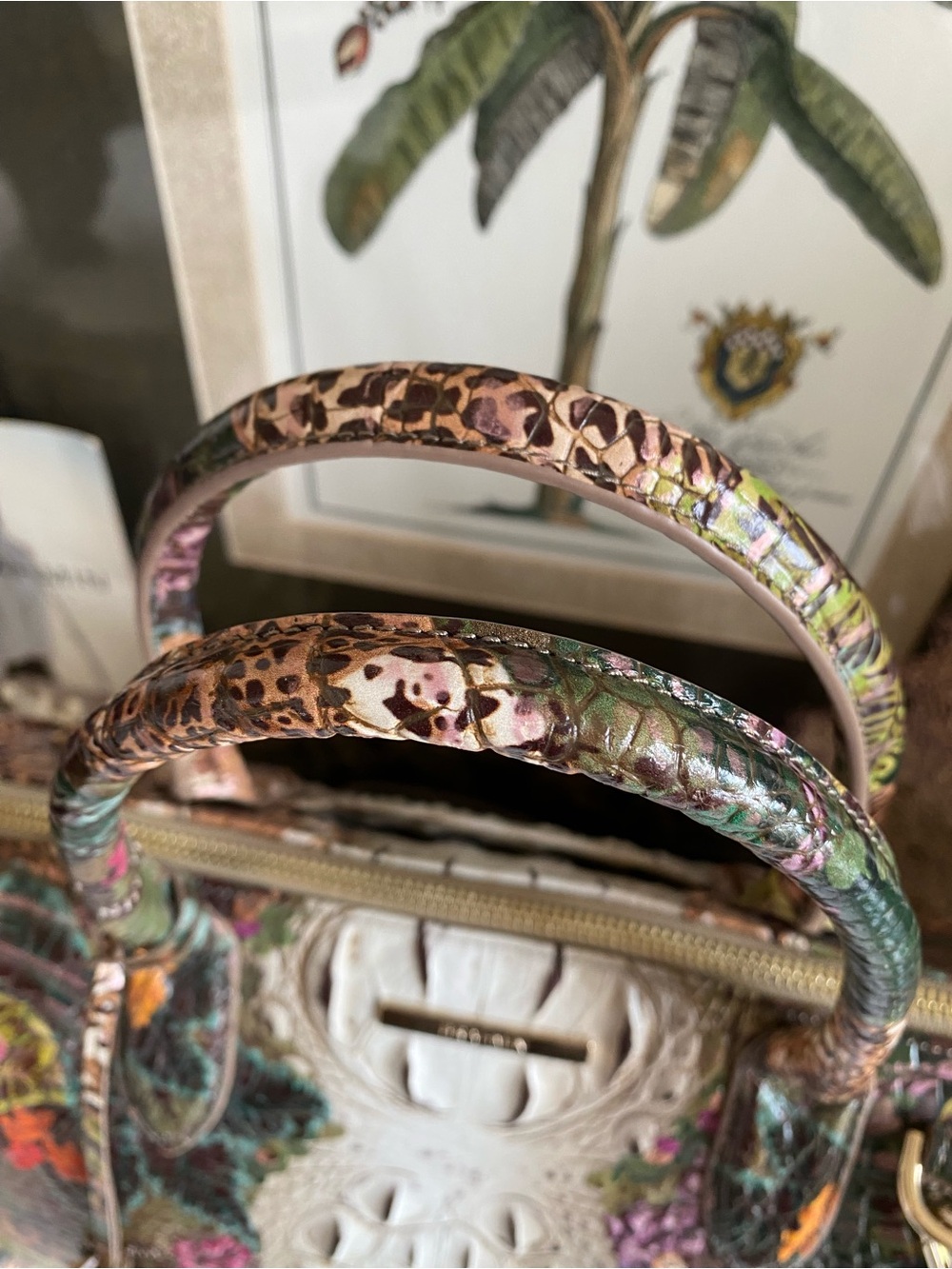 ๐ด๐๐พ EXOTIC and GORGEOUS ACADIA OMBRE CAROLINE Satchel by Brahmin - Picture 10 of 13